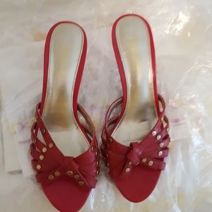 Coach and Four shoes